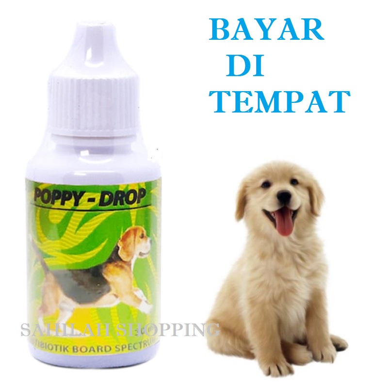 OBAT ANTIBIOTIK ANJING POPPY DROP OBAT ANJING LEMAS DEMAM FLU PILEK AMPUH