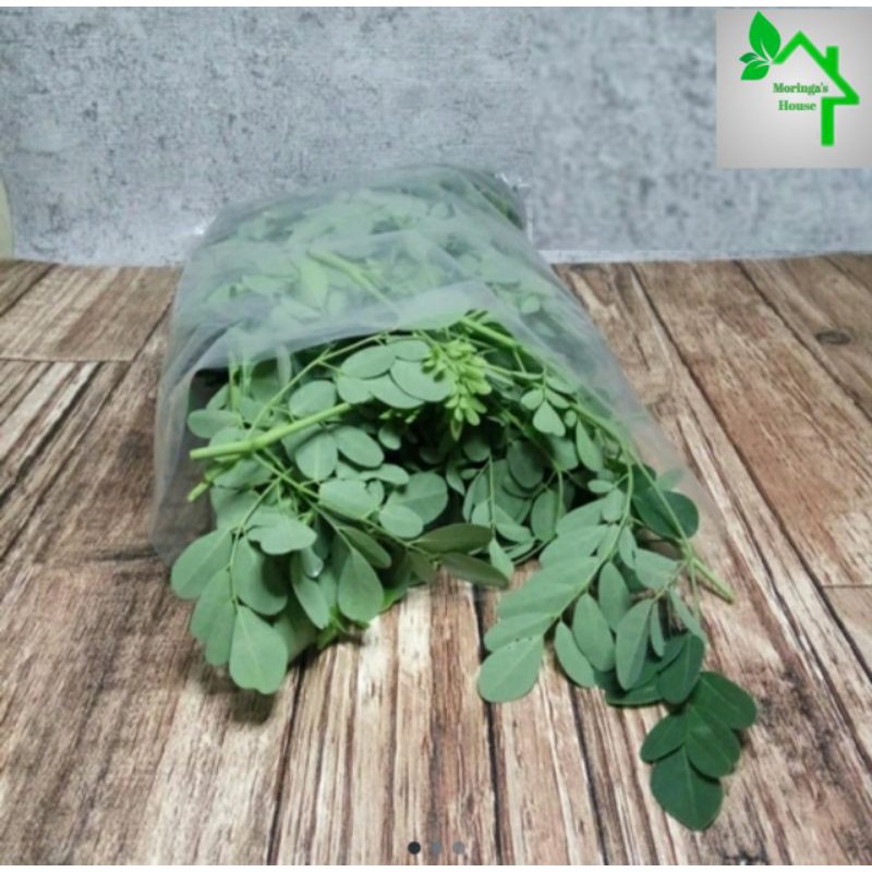 

Daun Kelor Segar