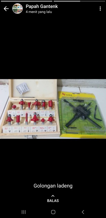 Mailtank Mata Profil Ruter 12pcs 1/4-pisau Ruter Bits 12pcs 1/4 -box Kayu