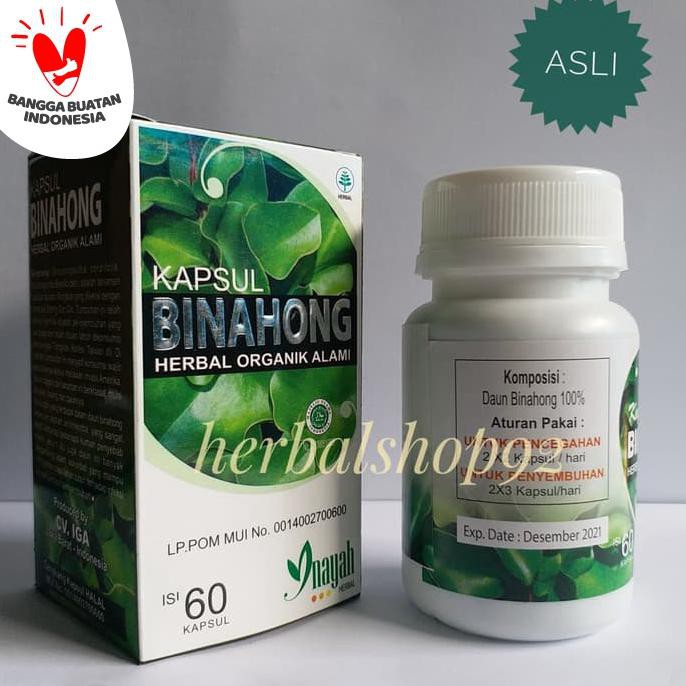 KAPSUL DAUN BINAHONG INAYAH