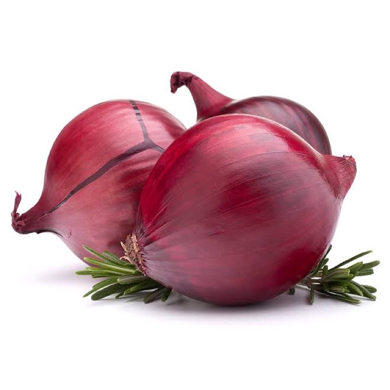 Benih Bibit Biji - Bawang Bombay Merah Red Onion Bawang Merah India Jumbo Seeds - IMPORT