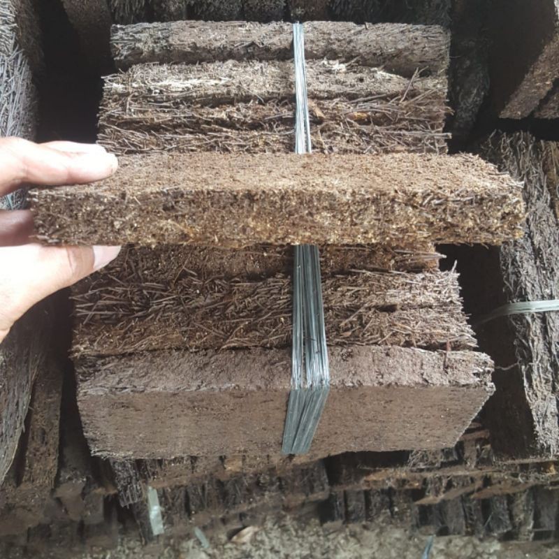 Papan Pakis Media simbar Tanduk Rusa