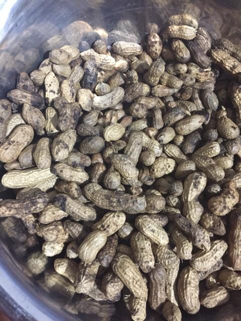 Harga Kacang Tanah Rebus