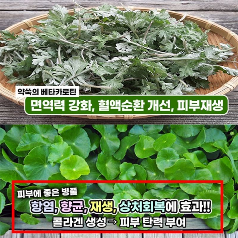 Cica &amp; Artemisia l Whitening Cream FULL SIZE 100GRAM