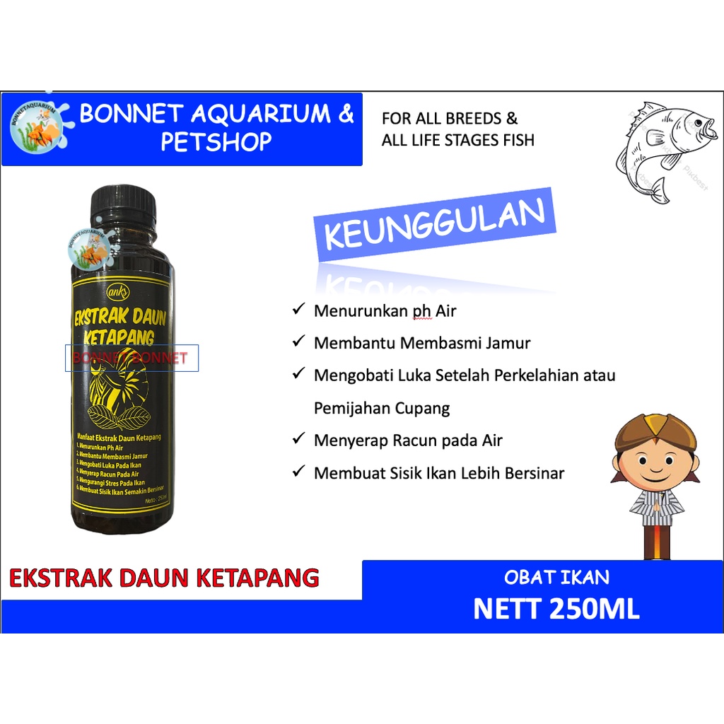 Jual Ekstrak Daun Ketapang Untuk Ikan Ml Shopee Indonesia