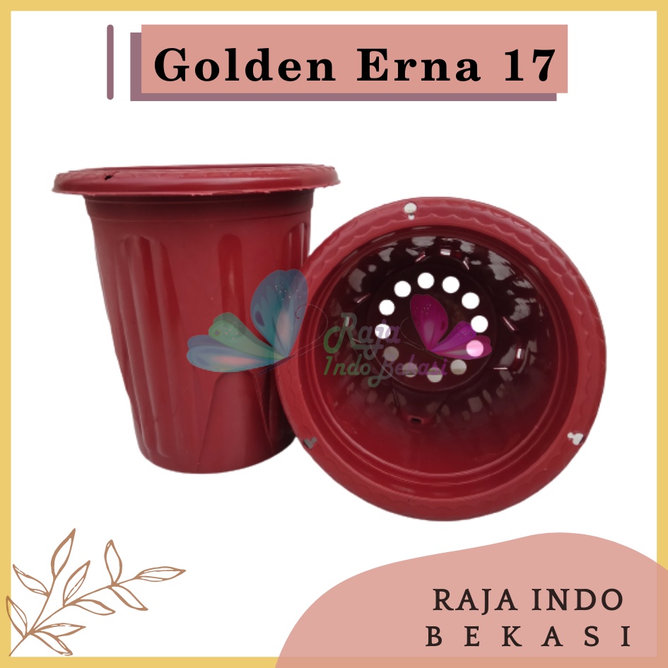 Pot Golden Erna 17 Coklat Merah Bata Terakota - Pot Yogap 15 17 Murah