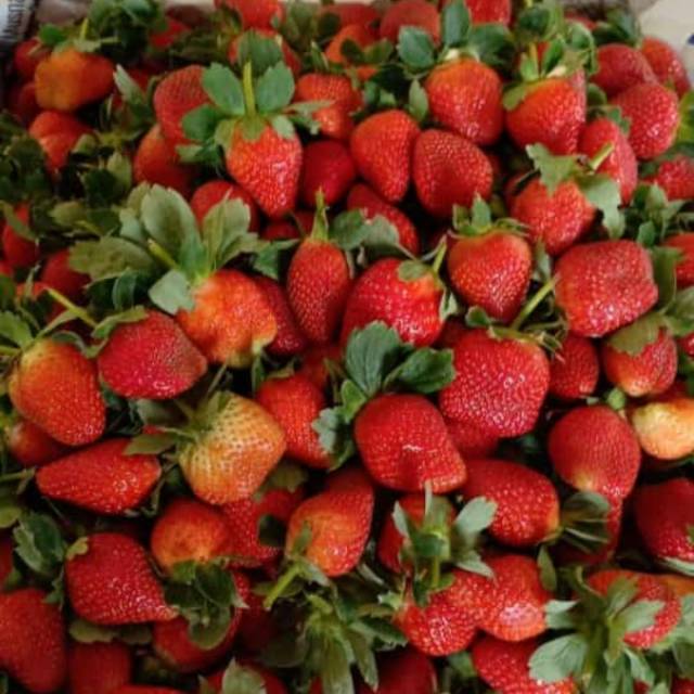 

Strawberry Grade A 500gram