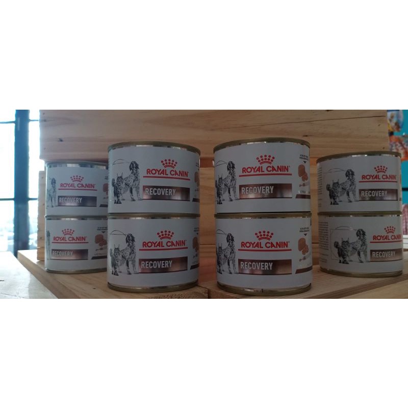 

23bagusmenshop - Royal Canin Recovery 195gr Wet Food Makanan Basah Anjing & Kucing