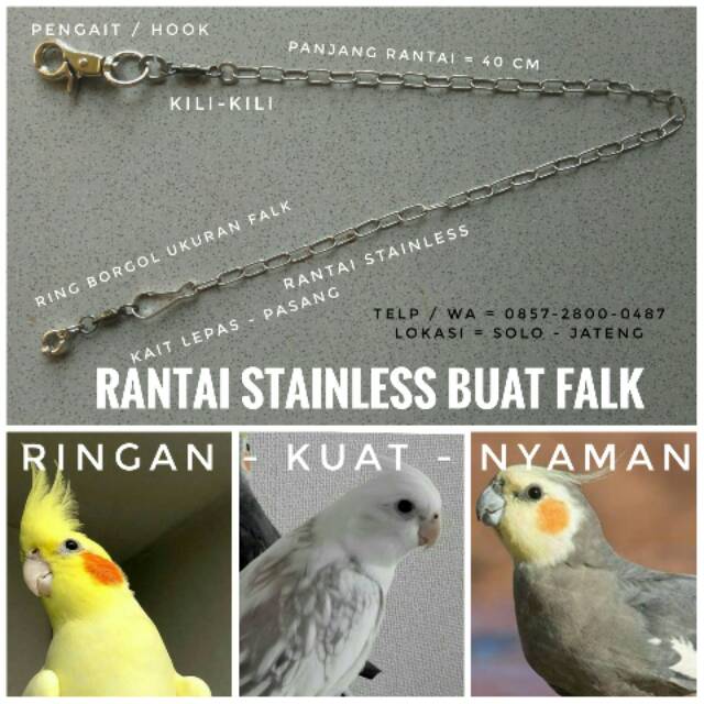 Rantai Stainless Buat Burung Small Parrot Ukuran Falk Parkit Australi