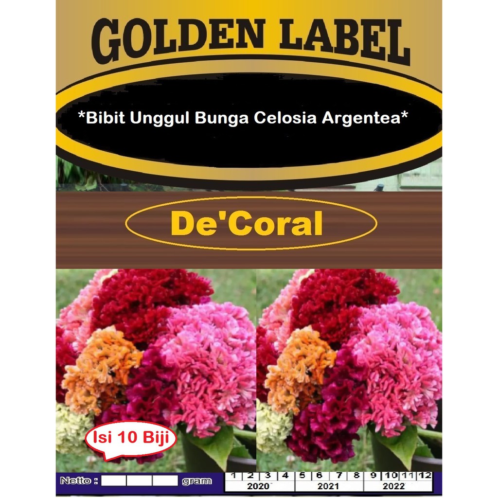 Bibit Bunga Celosia Argentea | Benih Bunga Celosia | Bibit Jengger Ayam