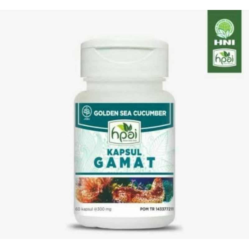 GAMAT kapsul HNI/hpai kapsul teripang emas