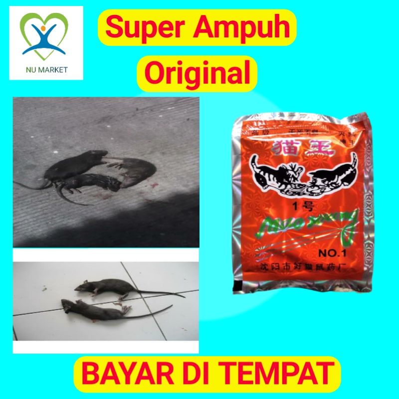 RACUN TIKUS AMPUH MATI DI TEMPAT ORIGINAL