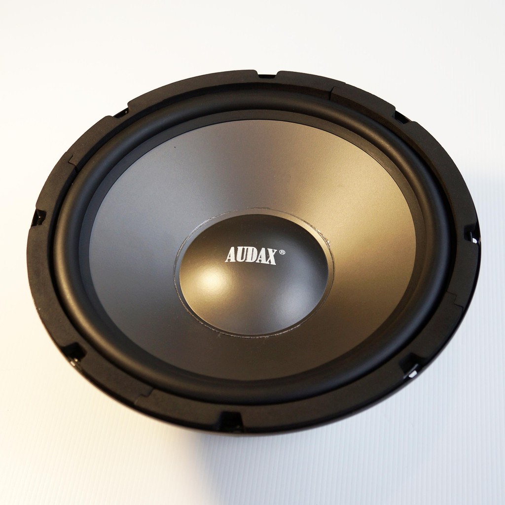 speaker 10 inch audax