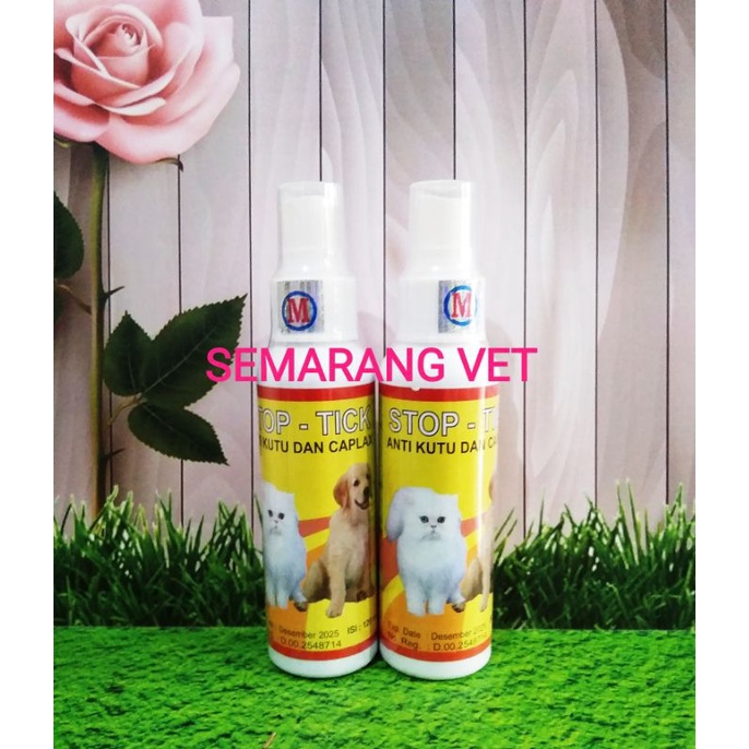 Obat Kutu Kucing Ampuh Dan Telur Kutu Obat Kucing Semprot Obat Kucing Kutuan Obat Gatal Kucing Ampuh