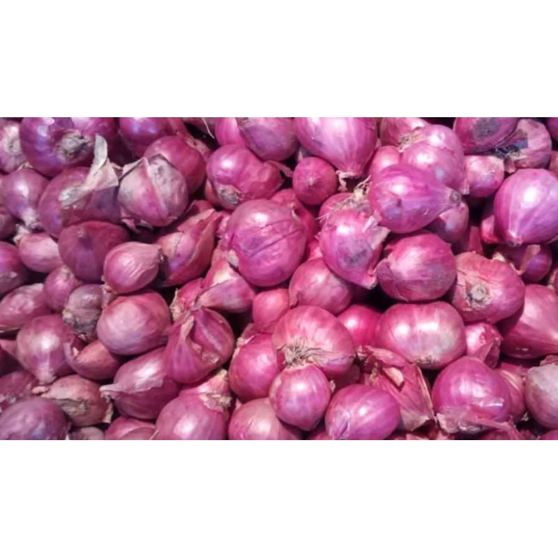 

bawang merah
