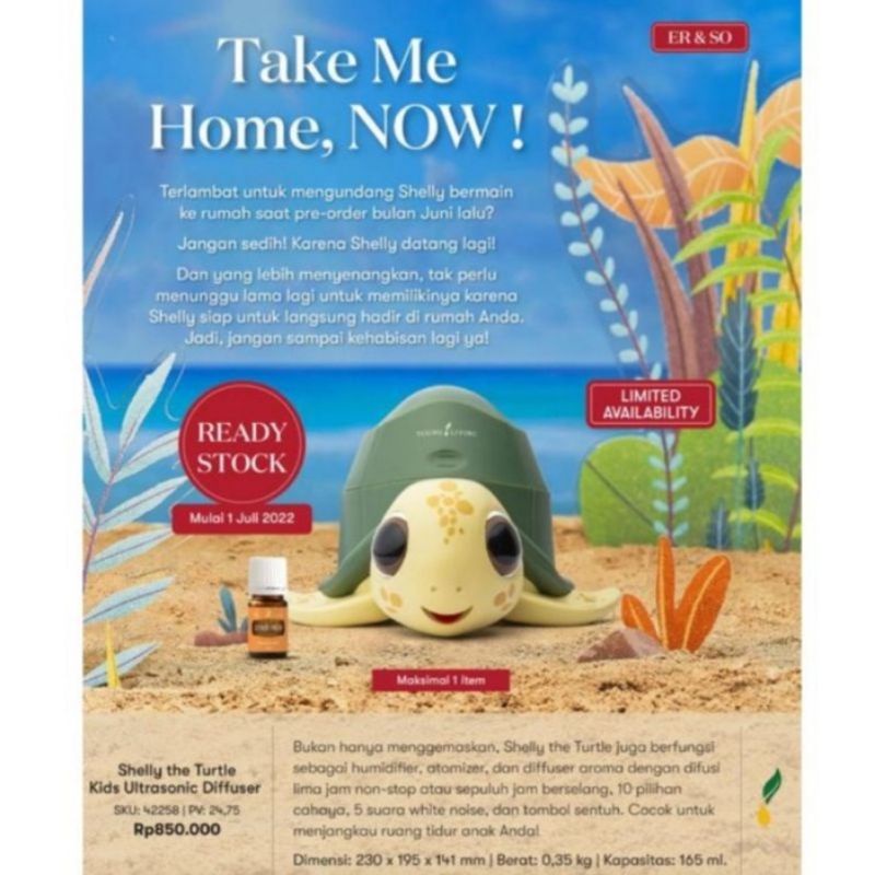 Shelly The Turtle Diffuser Original Young living
