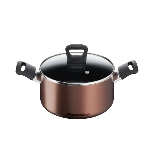 Tefal Day by Day Stewpot 20cm+ lid