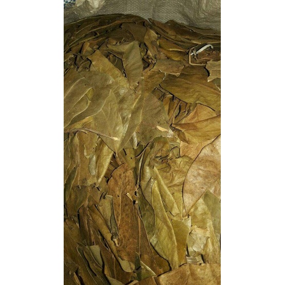 

[[BISA COD]] DAUN SIRSAK KERING 1KG 1 KG BERGARANSI Kode 1255