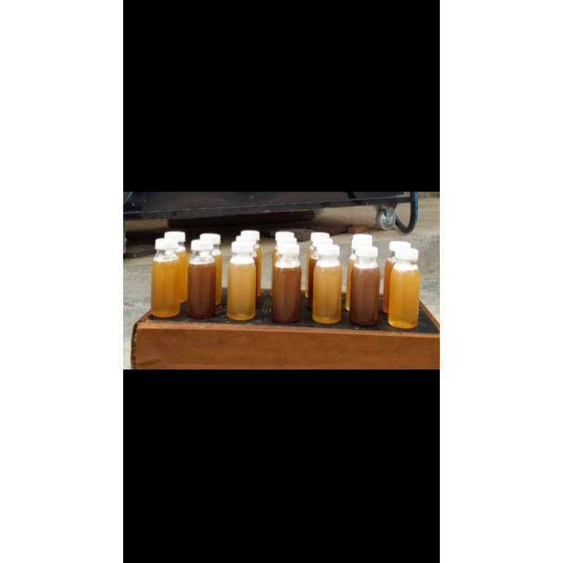 

madu klanceng