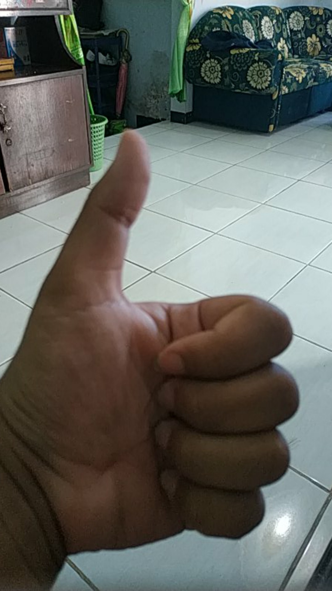 Biakan Murni Fusarium Oxysporum Asal Tanaman Cabai