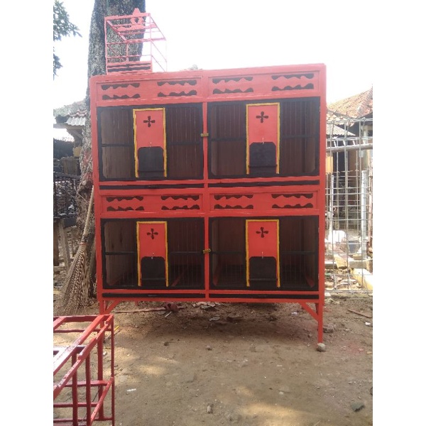 kandang macan burung dara