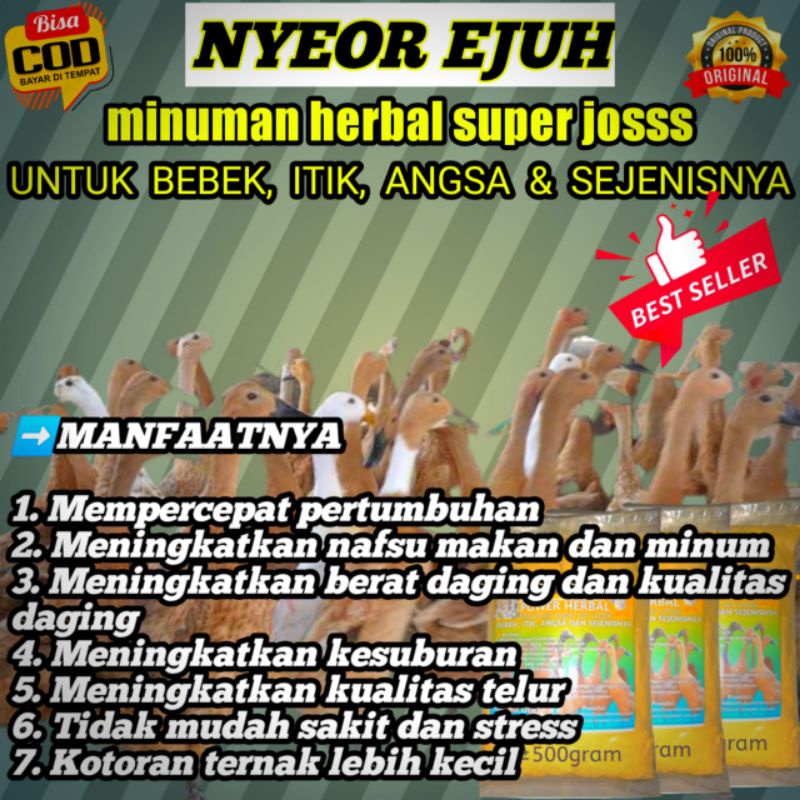 VITAMIN BEBEK ANGSA ENTOK ITIK NYEOR EJUH