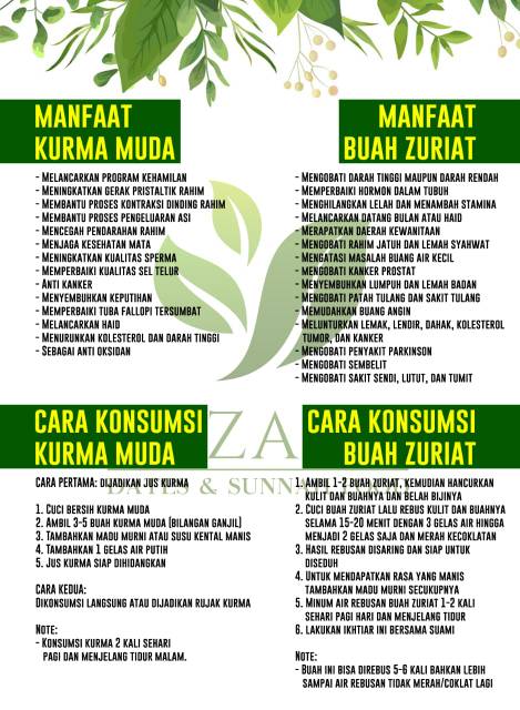 Paket A Buah Zuriat 4 Belah Kurma Muda 500gram Minyak Zaitun Dan Madu Maryam Indonesia