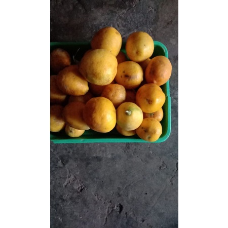 

lemon