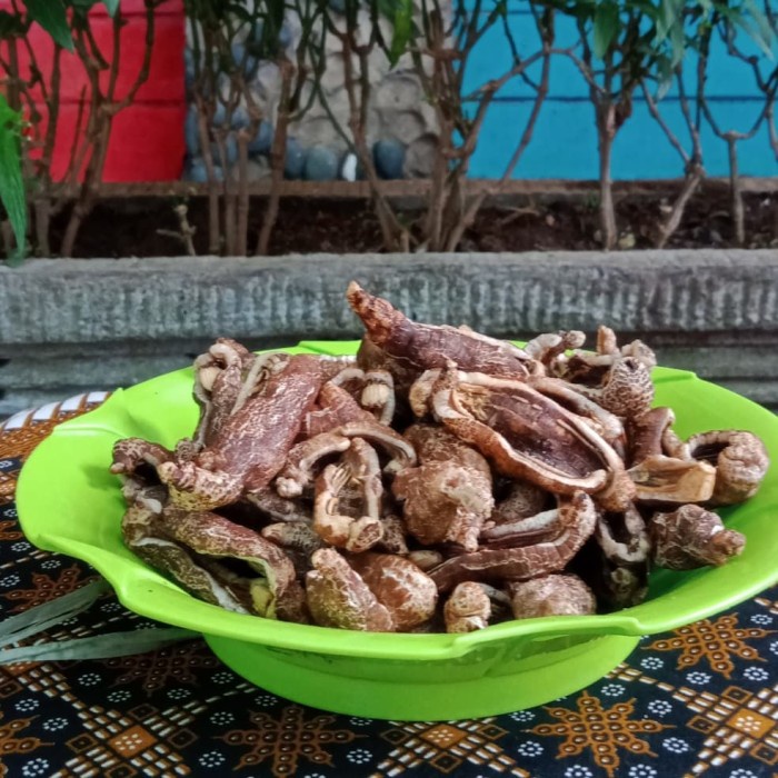 

TERBARU Krupuk Tripang/Blonyo