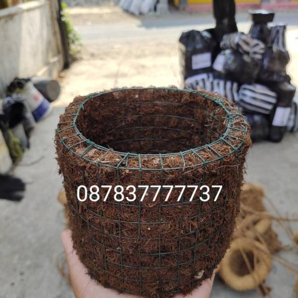 POT MOSS HITAM AKAR KADAKA
