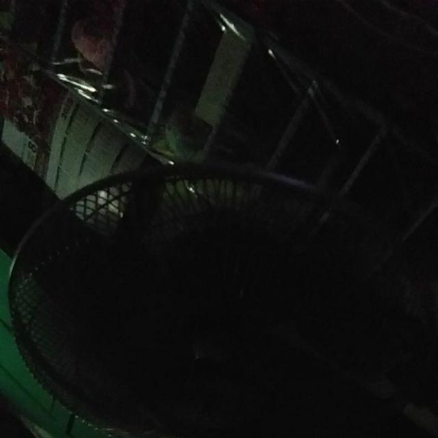 Plastic Bag Olshop 35x50cm