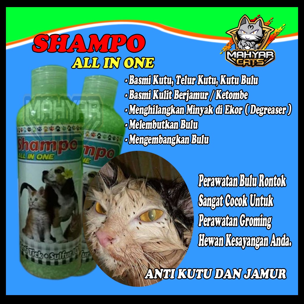 Shampo anti kutu ampuh | shampo anti  jamur | shampo degreaser | shampo kucing | shampo all inbone 250 ml