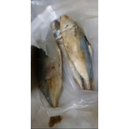 

ikan asin dokdok