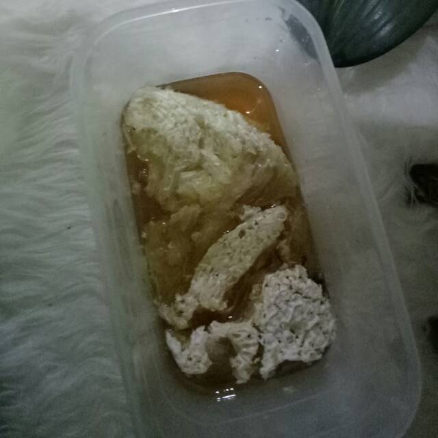 

Madu murni, madu hutan liar dengan sarangnya