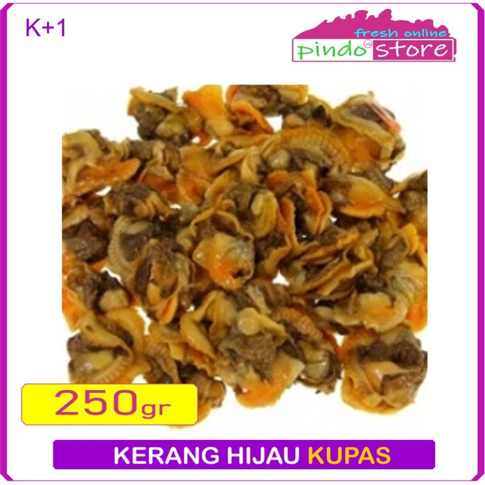 

KERANG DARA/ KERANG HIJAU KUPAS SEGAR