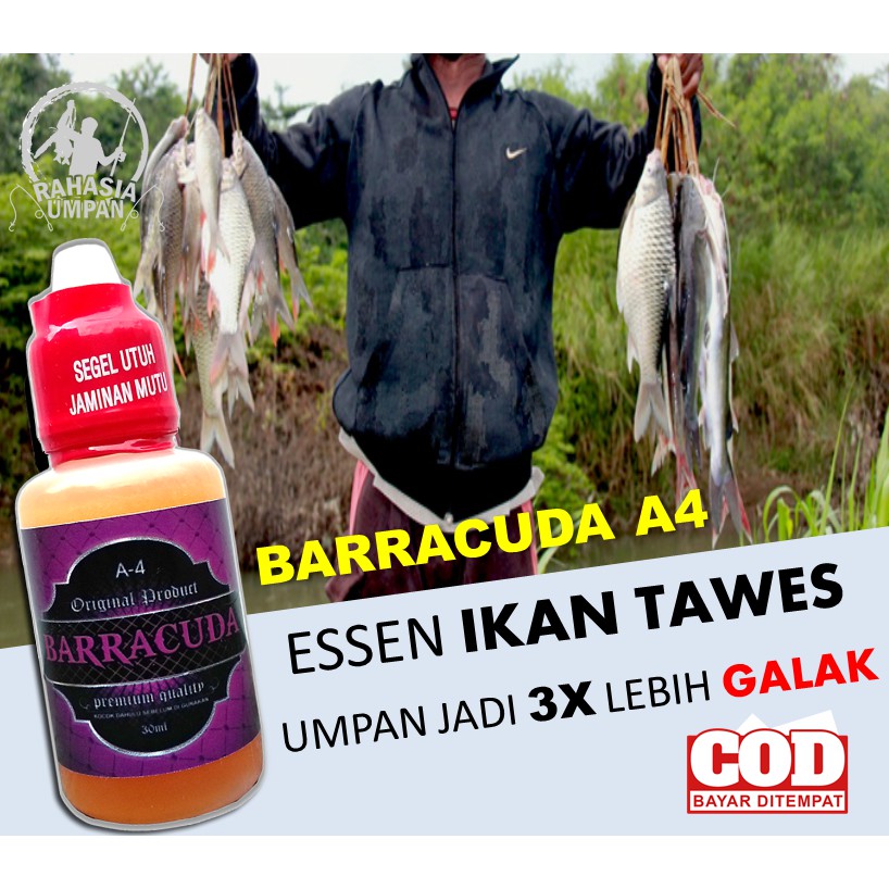 Barracuda A4 Essen Ikan Tawes Liar Rawa Kolam Waduk Media Umpan Cacing Lumut Tempe Jangkrik Laron