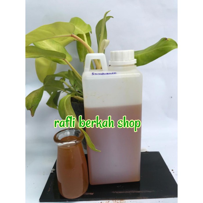 

madu- madu asli hutan sumbawa premium. 1 kg -madu.
