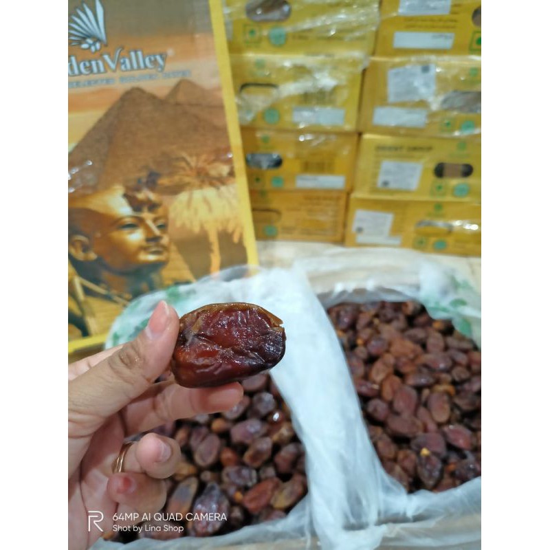 

kurma golden falery