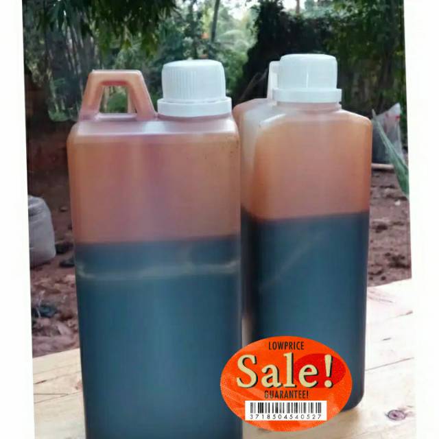 

Madu Zaujaty Versi Madu Hitam pahit