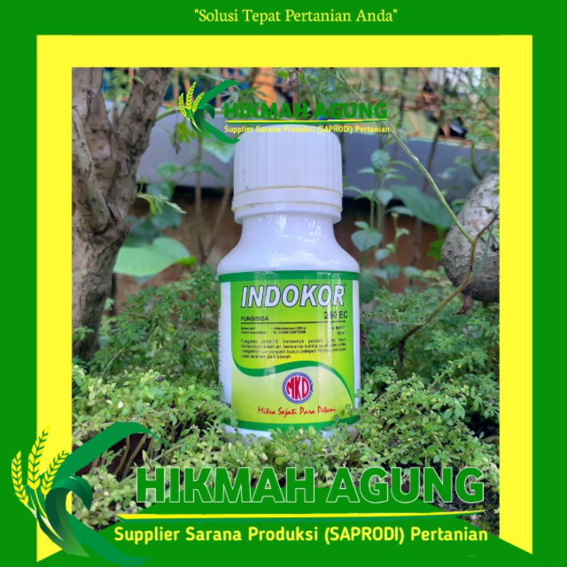 fungisida INDOKOR 250 EC 80ml Bahan Aktif Difenokonazol