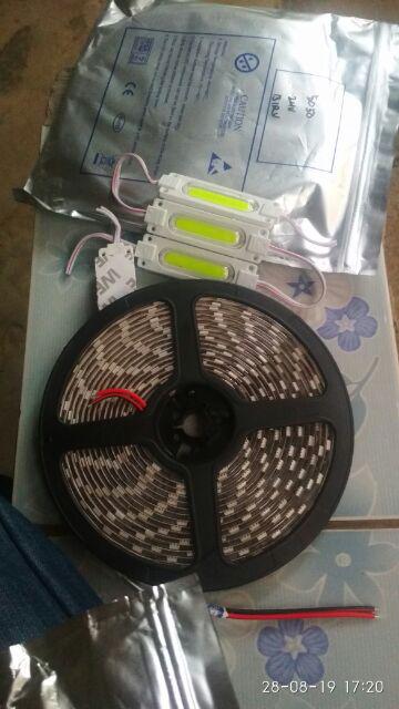 Led Strip 24 Volt Mata Led Besar 5050 5 Meter