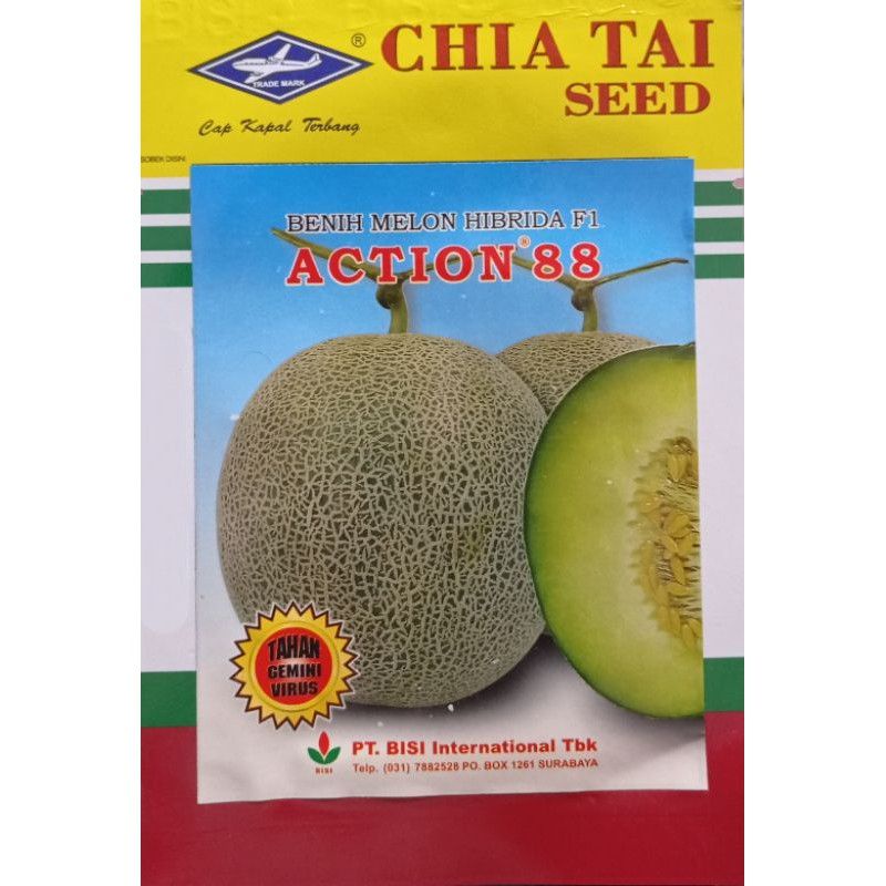Benih Bibit Melon Action 88 F1 Hibrida