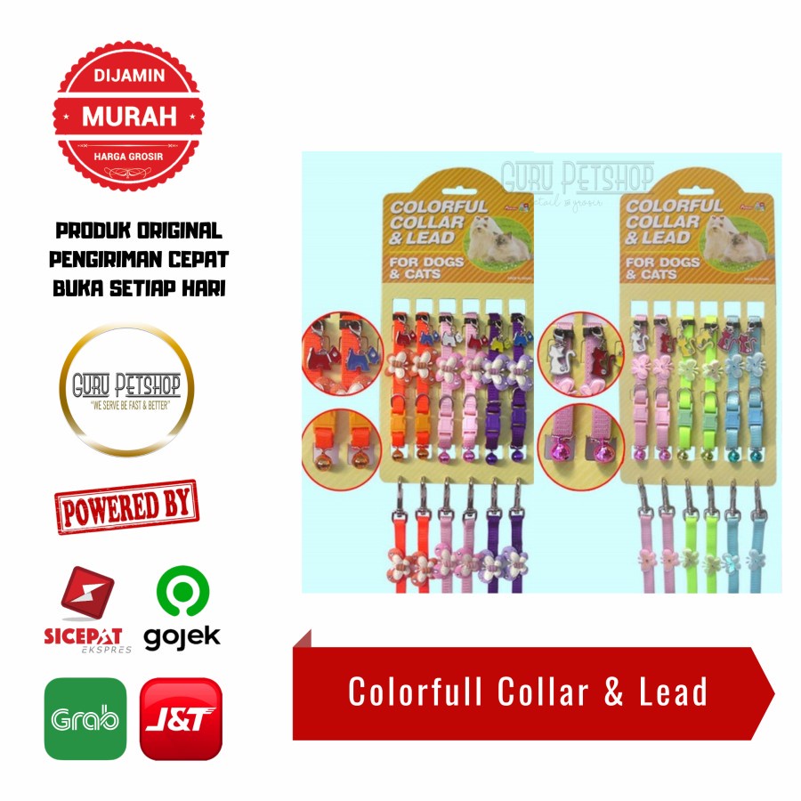 Tali Tuntun Kalung Kucing Anjing Colorfull Collar Lead Octagon