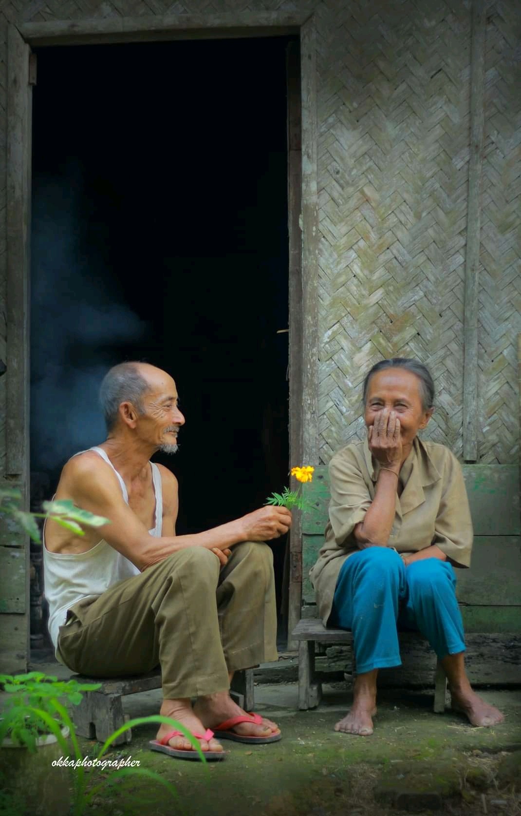 Paku Payung nemoto 20 Gram Isi 50 Pcs