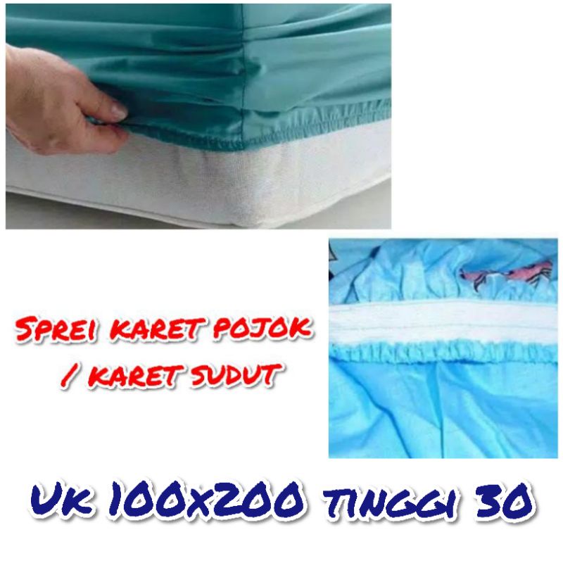Sprei 100 T 30 sprei ukuran 100x200x30