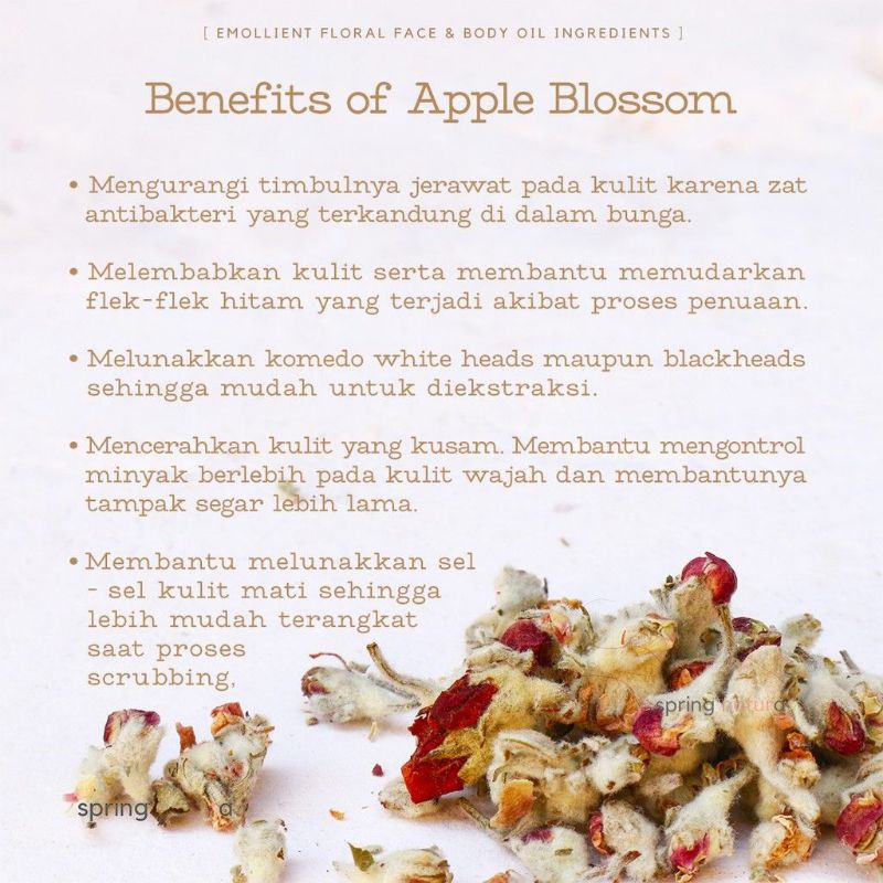 APPLE BLOSSOM TEA PREMIUM : TEH BUNGA APEL, APPLE BLOSSOM FLOWER TEA - 50 Gram