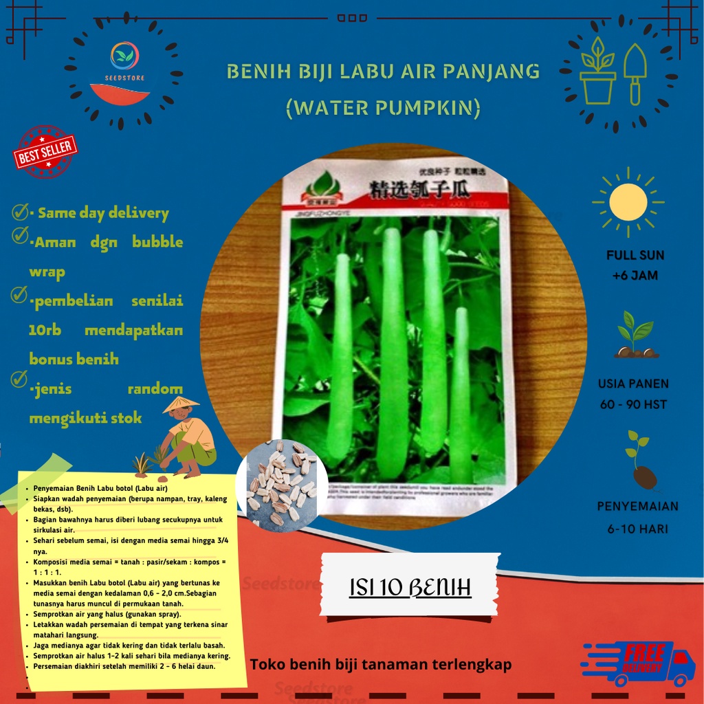 10 Benih labu Labu Air Panjang