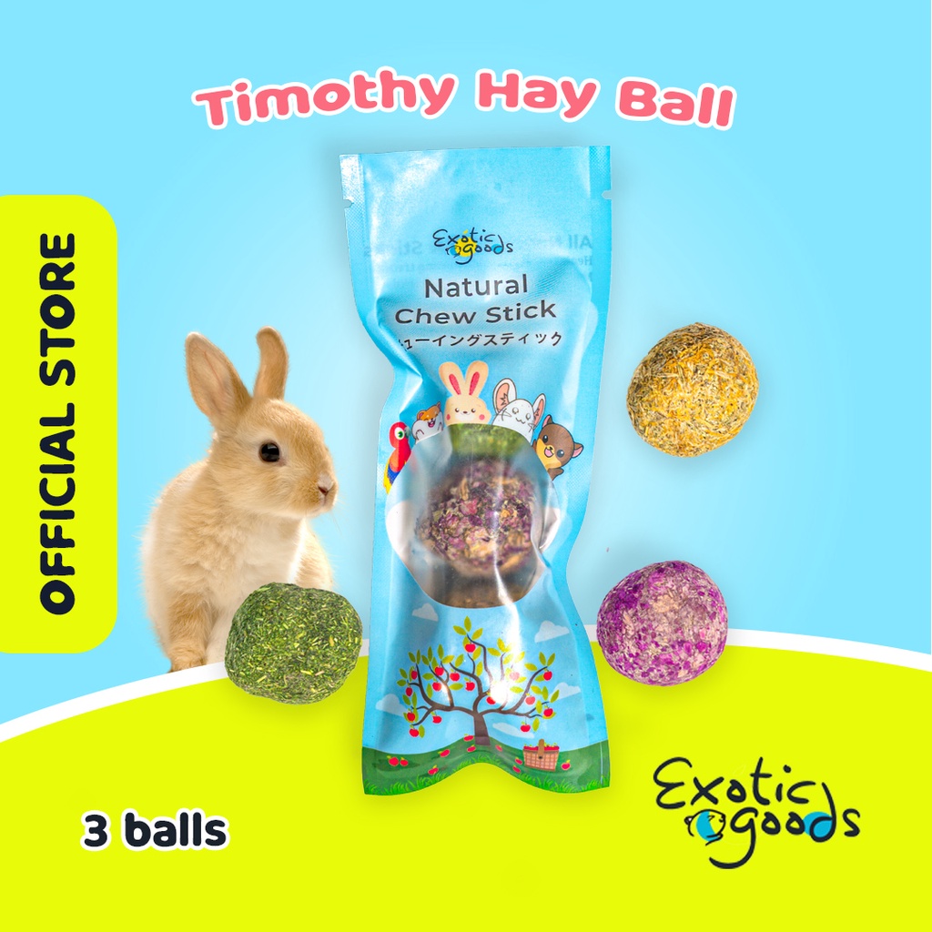 HAY BALL SNACK MAKANAN KELINCI MAINAN KELINCI CHINCILLA MAINAN BOLA HAY MAINAN MARMUT HAMSTER