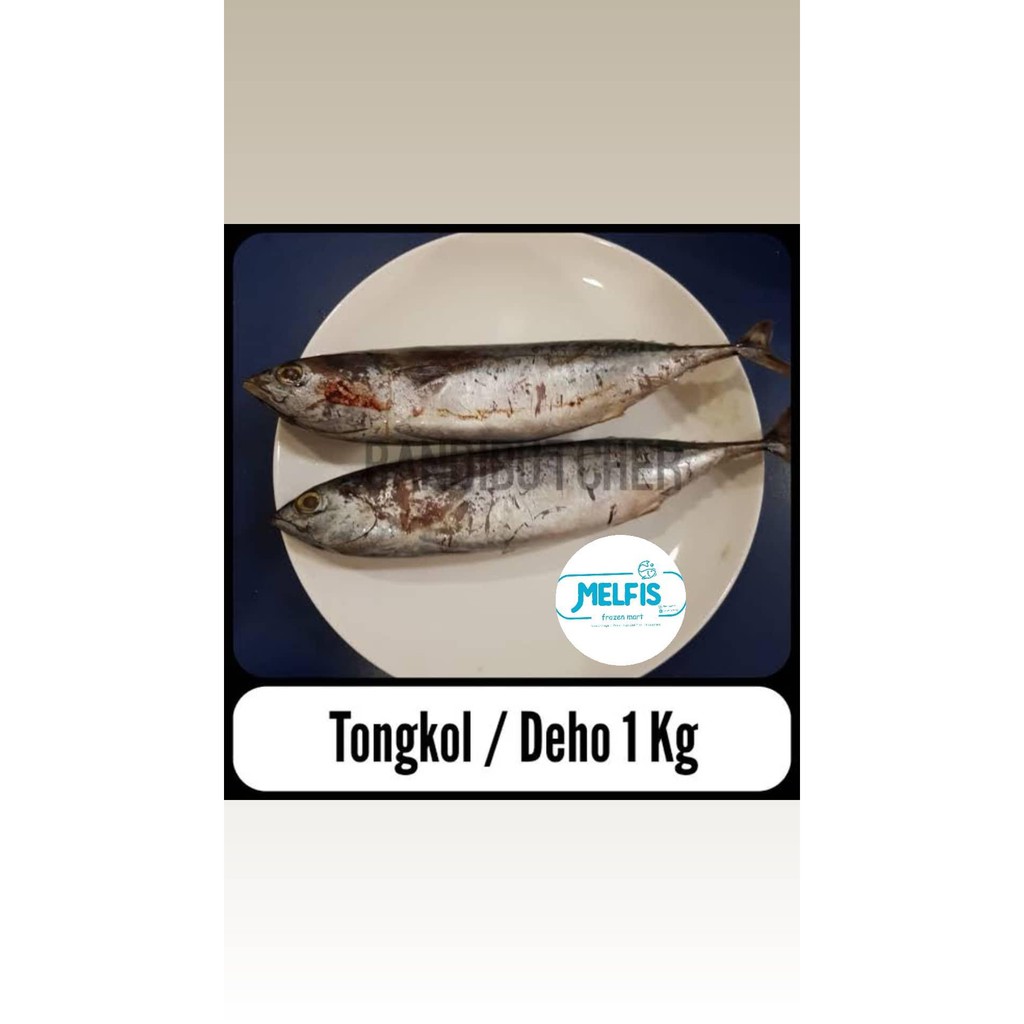 

Ikan Tongkol Deho 1kg