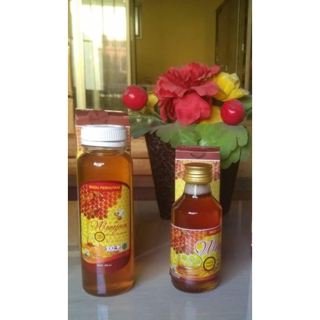 

madu hutan wanajava